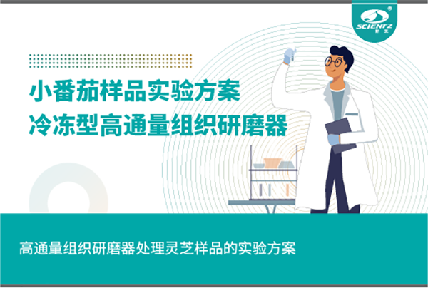 冷凍型高通量組織研磨器處理小番茄樣品的實驗方案